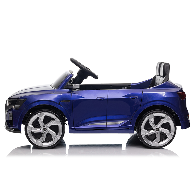 Chizhou HaiZhiBao Children Products CO,.LTD